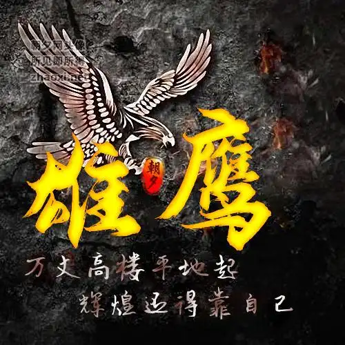 黑色岩石一只雄鹰密约交友头像图