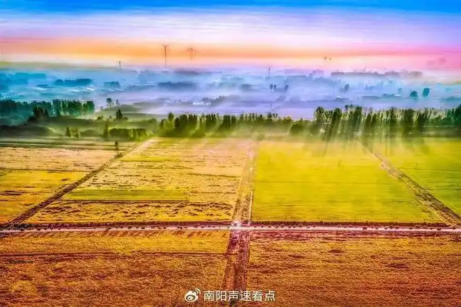 南阳市摄影家协会"宛丹良禾杯"摄影大赛获奖情况公示|方慧|优秀奖|正