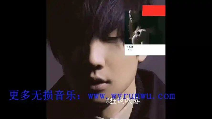 林俊杰28高品质无损音乐 源文件内置歌词 封面