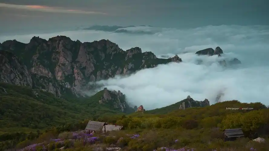 有没有能将ipad屏幕发挥到极致的壁纸