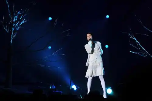 2020王菲济南演唱会门票(时间 地点 订票指南)_大河票务网