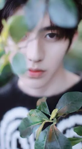 cr: kunlion_0329 蔡徐坤精修 - 堆糖,美图壁纸兴趣社区