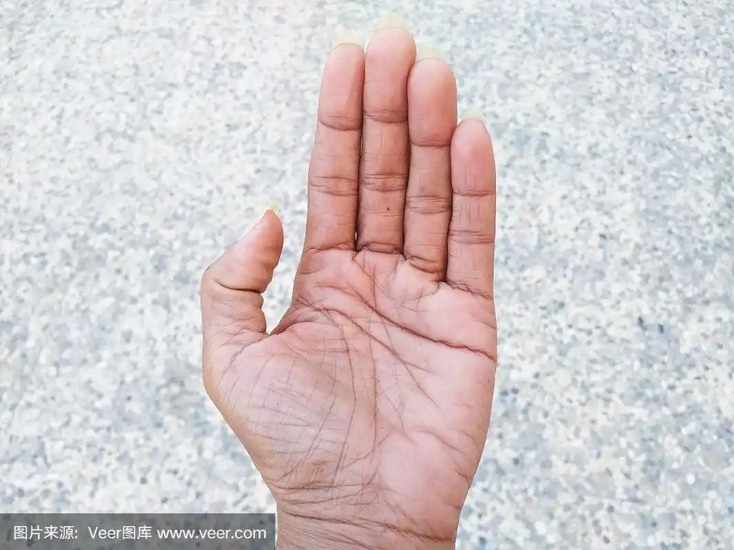 灰色上孤立的女性手掌照片