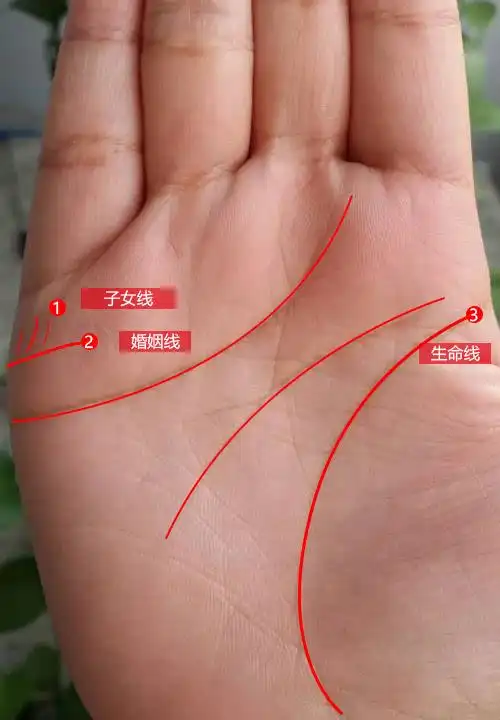 这种生肖,命里多子多福,看手相就知道有几个孩子