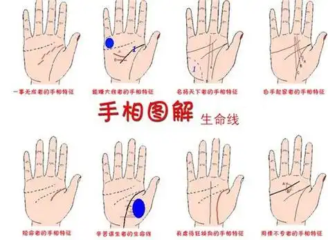 女人的手相图解生命线_手相生命线图解大全女右手_手相生命线是真的