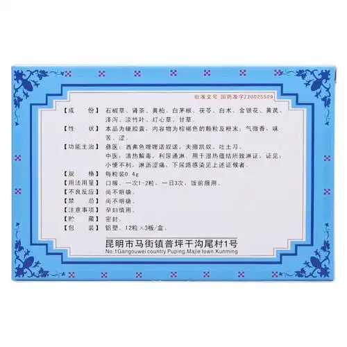 肾安胶囊(洪光)