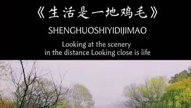 生活是一地鸡毛望远处看是风景看近处才是人生