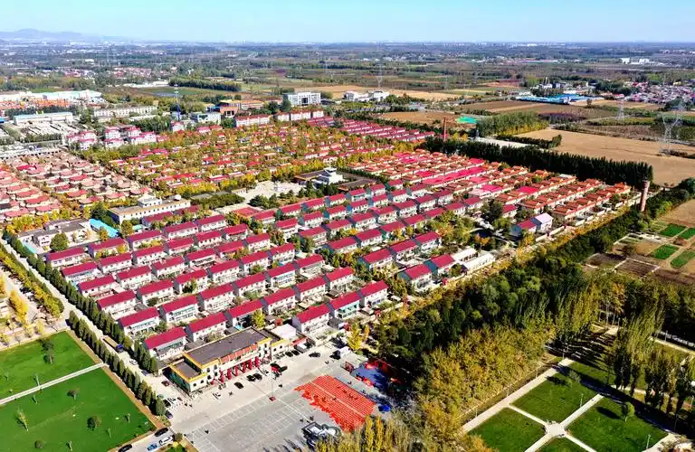 韩村河银杏醉美游人