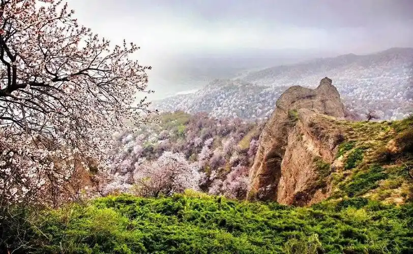 疆宁户外自驾游,2020年4月10日~11日~12日,13日,天天发往大西沟福寿山