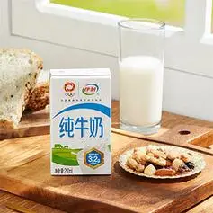 yili 伊利 纯牛奶整箱250ml*21盒 全脂牛奶 优质乳蛋白 早餐伴侣 礼盒