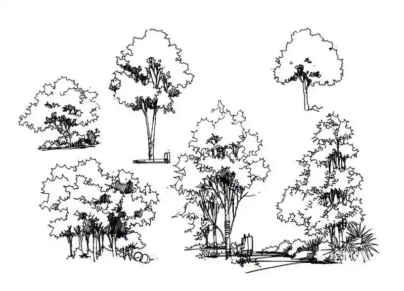 景观植物手绘临摹宝典200例