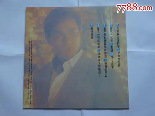 (我和我追逐的梦)刘德华----附带歌词