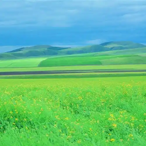 广阔草原蓝天白云最美风景微信头像_风景_草原_头像