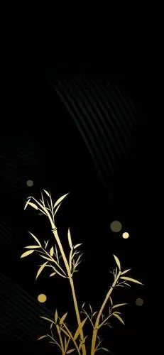 壁纸@黑金系列壁纸