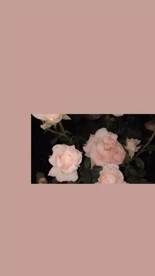 自调壁纸锁屏ins背景朋友圈莫兰迪粉色简约素材少女心温柔拼接滤镜