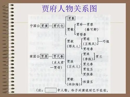 名师精编--《林黛玉进贾府》共1课时课件(苏教版必修2)(2)(6)ppt