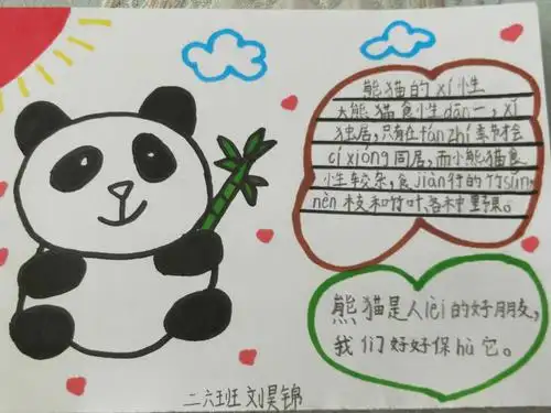 动物名片,我为动物代言——爱护动物,小小少年在行动