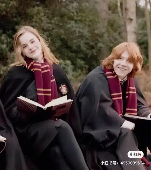 求罗恩赫敏的cp原图