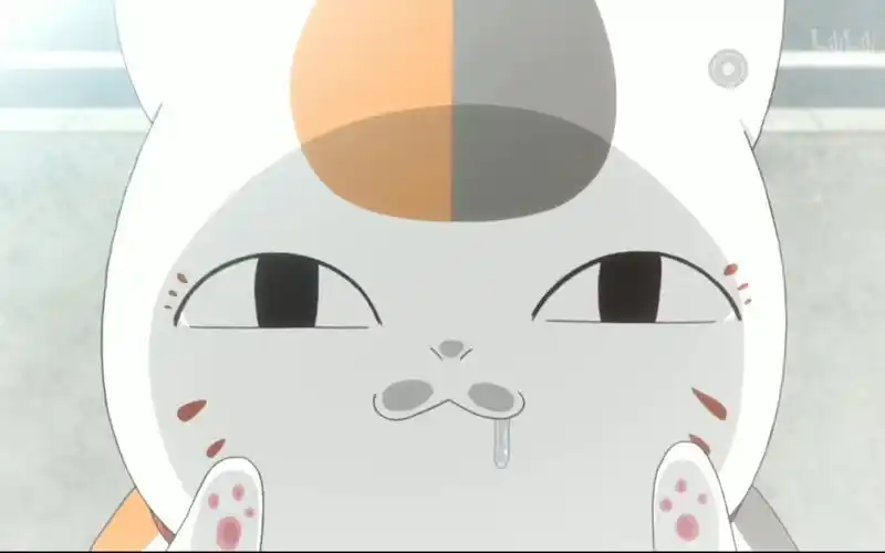 夏目友人帐 猫猫系列(=~ω~=) (可能也是新人必糊系列qaq)