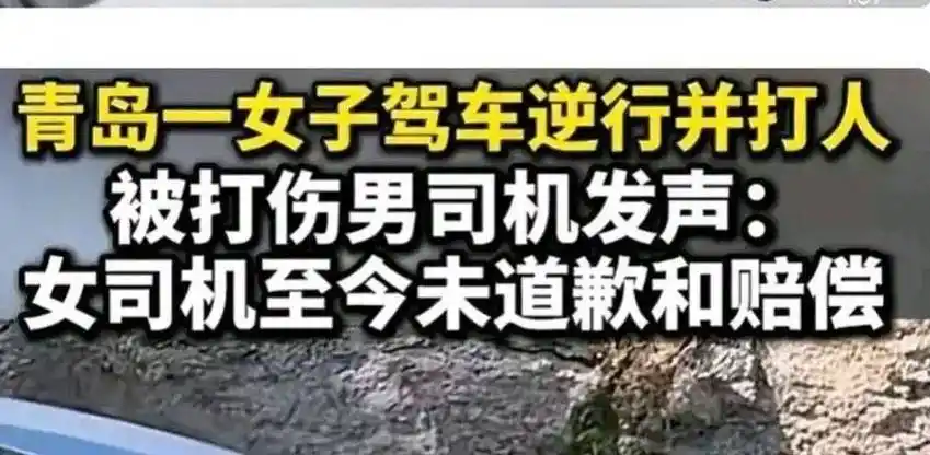 这次,逆行还打人的嚣张路虎女车主,"底裤"都快要被扒光了!