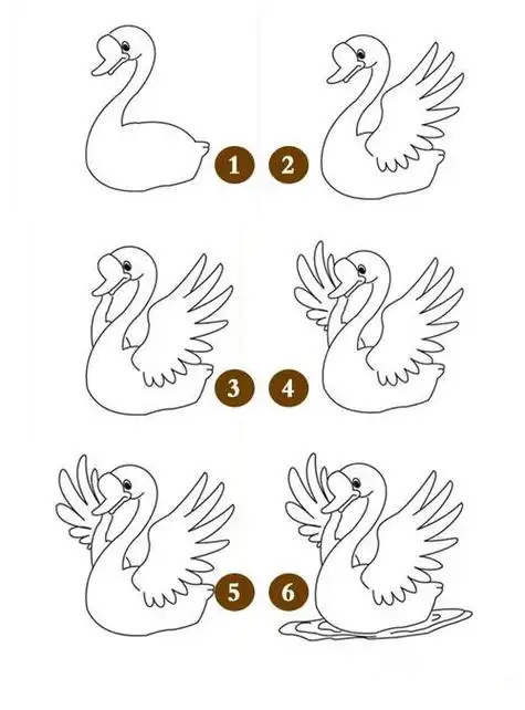 简笔画天鹅怎么