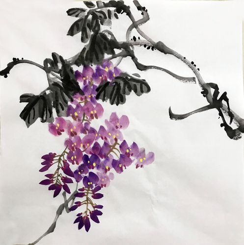 国画紫藤水墨画3966三尺斗方无款纯手绘玄关背景墙画装饰无款宣纸