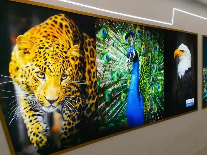 卡布灯箱展示应用