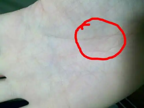 有图 请帮忙鉴别生命线岛纹