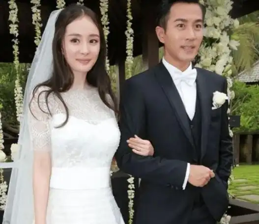 刘恺威,杨幂在巴厘岛举行了婚礼;1月19日,刘恺威公布妻子杨幂怀孕的