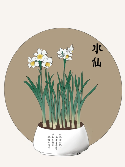 植物集-水仙花