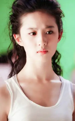 刘亦菲 现代金燕子 2008电影《功夫之王… - 堆糖,美图壁纸兴趣社区