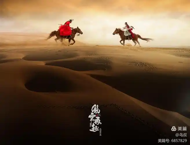 《风云再起,沙湖论剑》【鸟叔意境人像】