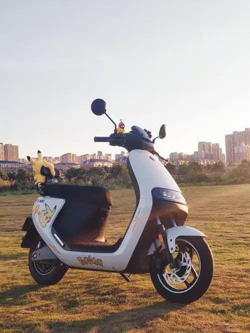 九号电动车怎么样e100e80c有购买过的朋友吗具体讲讲感受值不值得购买