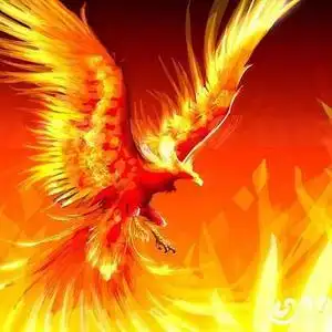 火凤凰头像