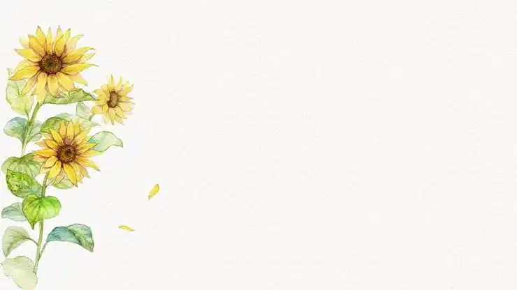 五张清新淡雅水彩向日葵ppt背景图片 - 第一ppt