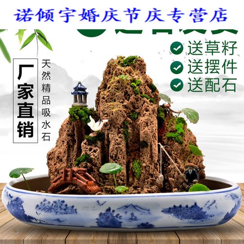 云舵吸水石假山石盆景摆件造景上水石假山盆景原石奇石观赏石微景观