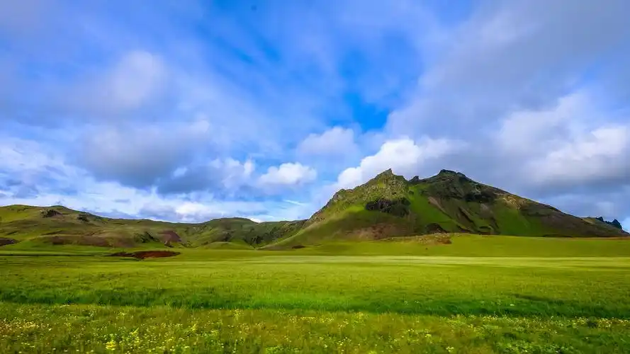 绿油油的草坪,高清图片,电脑桌面-壁纸族