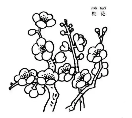 梅花简笔画 梅花简笔画图片带颜色 - 水彩迷