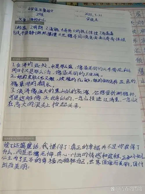 《安徒生童话》(海的女儿)读书笔记请查收