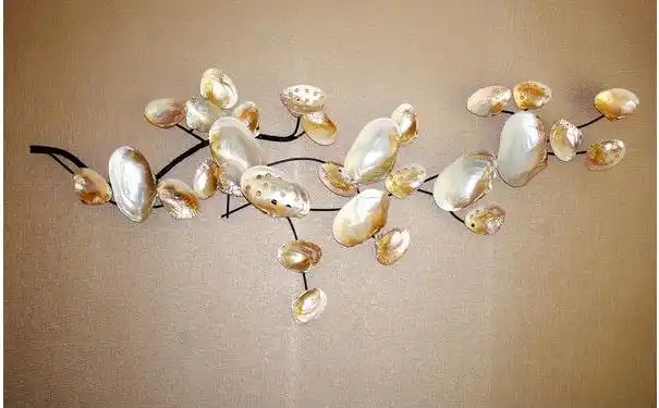 独特的贝壳文化墙 贝壳装饰墙图片欣赏