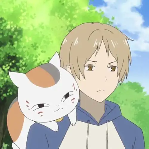 追《夏目友人帐》这部番,完全就是阴差阳错.