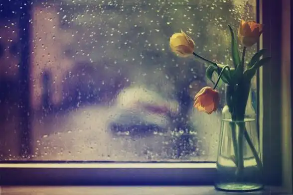 下不完的雨的唯美意境图片