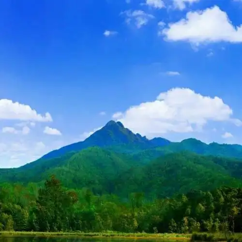 大山61154986头像