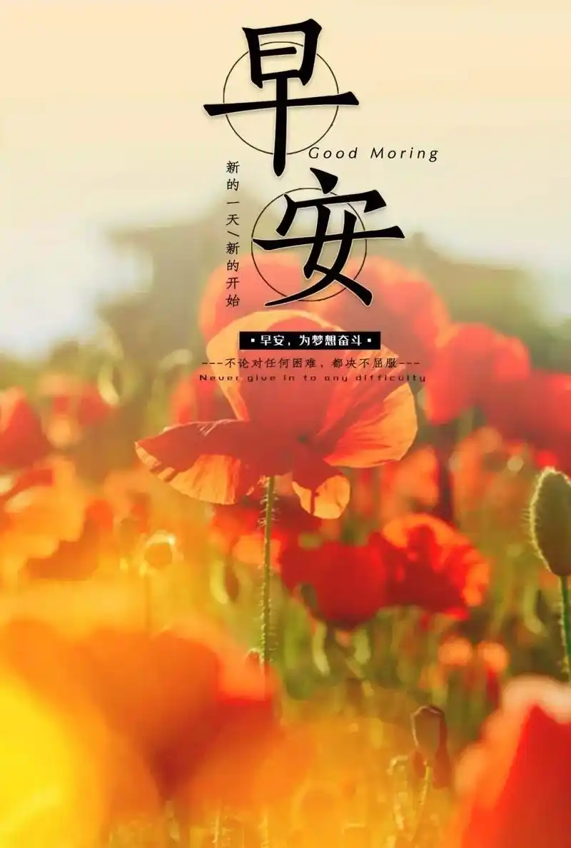 2月22日早安心语正能量很火语录很赞的早上好图片带字正能量
