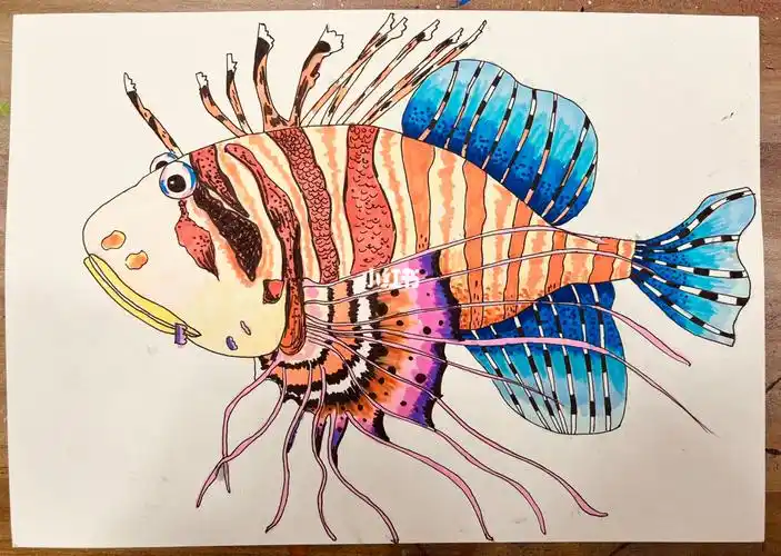 临摹线描狮子鱼鱼