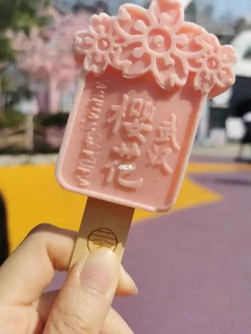 网红雪糕