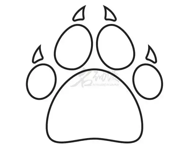 以上就是本期画爪印的画法全部内容,对我们的绘画教程感兴趣的画,可以