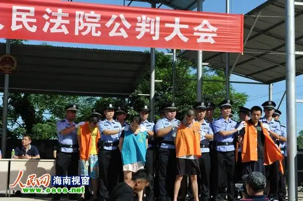 龙华区法院召开"禁毒公判大会" 12人被判刑
