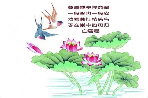 吃素放生不杀生是福德啊