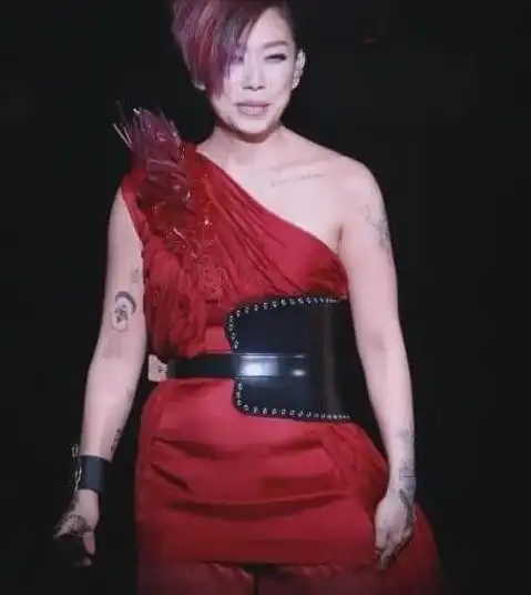 歌手林忆莲身材发福皱纹还那么多在她身上看到了大妈感